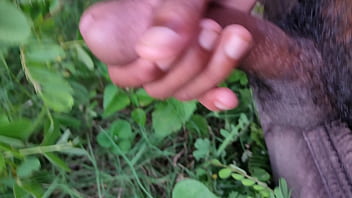 indian girls jungle sex video