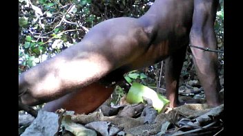 outdoor sucking penis in the forest
